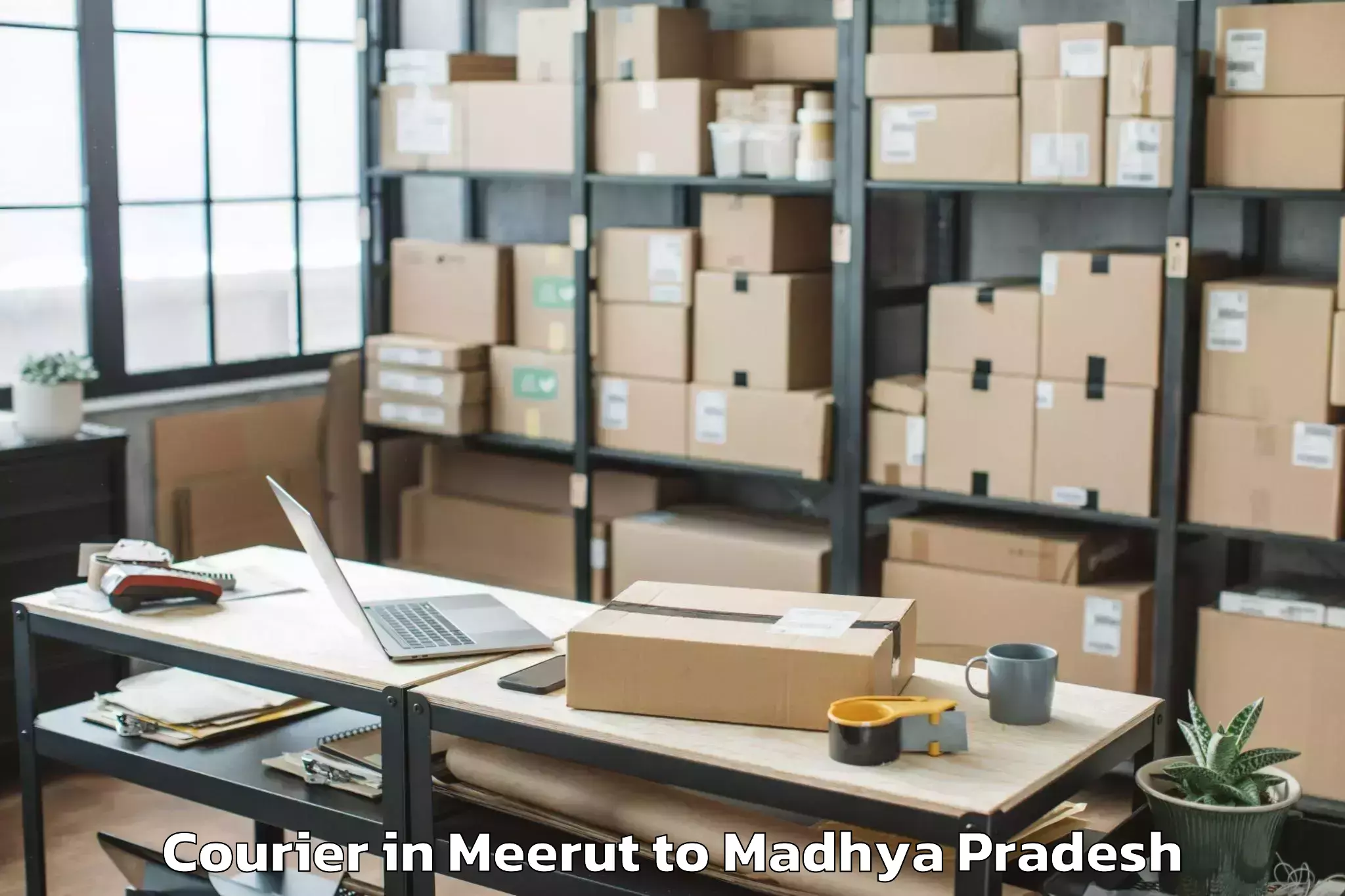 Professional Meerut to Sehore Courier